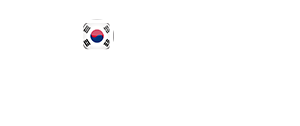 Koreanfakes